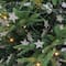 Hello Honey® 6ft. Star Shaped Garland with Glitter